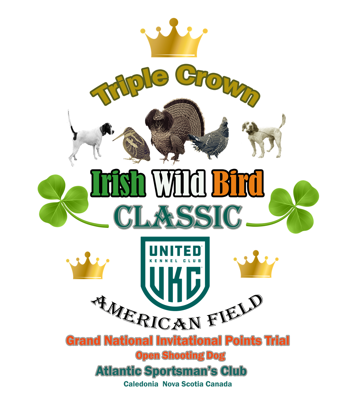 Irish Wild Bird Classic update with clovers and shadows PNG